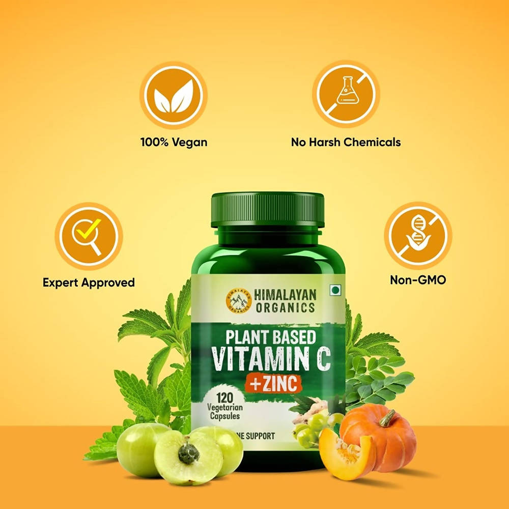 Plant Based Vitamin C + Zinc Double Immune Support: 120 Vegetarian Capsules