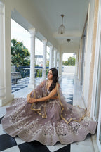 Eilara Glamorous Light Dusty Brown Butterfly Net With Thread And Sequins Embroidered Work Lehenga Choli
