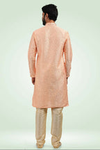 Raivat Ethnic Jacquard Banarasi Silk Pintux Work Kurta Pajama In Peach Colour