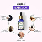 The Beauty Co. Rosemary Essential Oil
