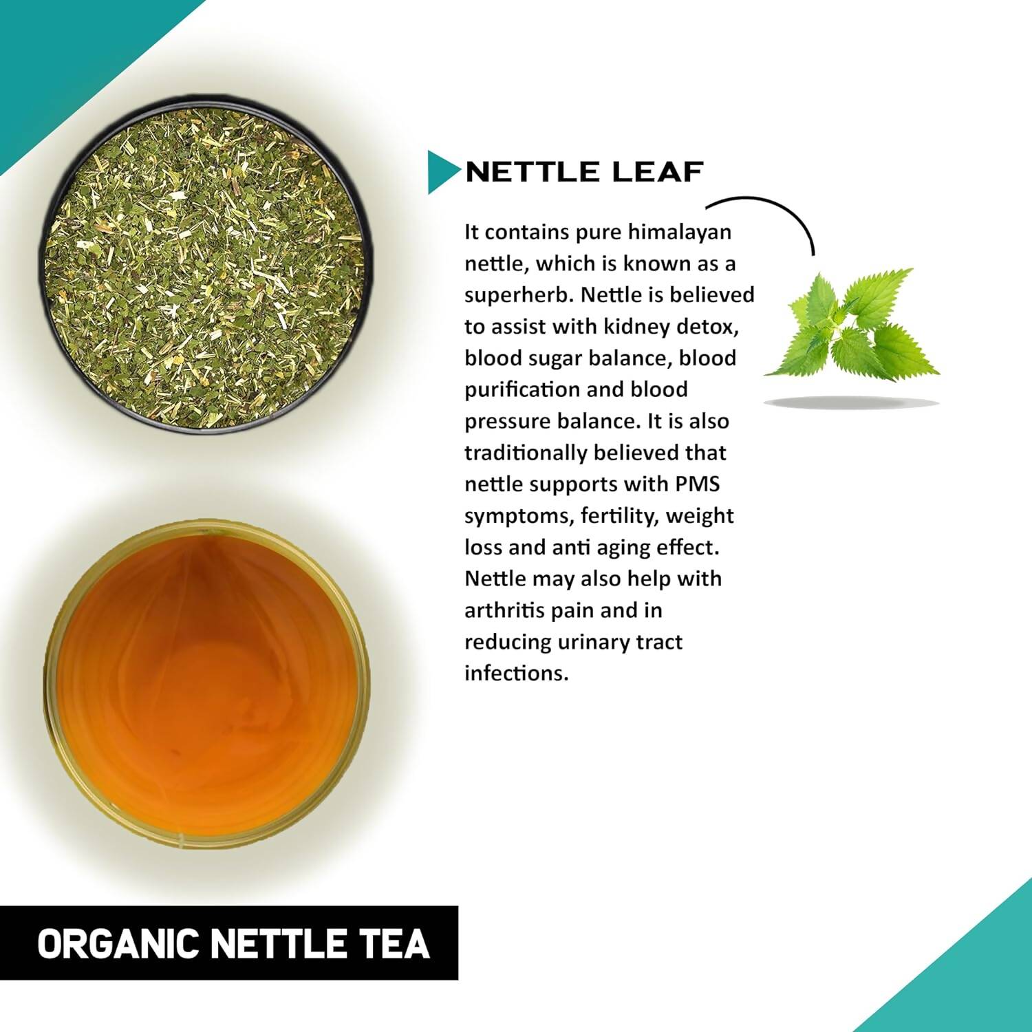 Teacurry Organic Nettle Tea Bags - Distacart