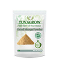 Yuvagrow Dried Mango Powder - Distacart