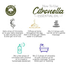 Old Tree Citronella Essential Oil