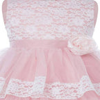 Asmaani Baby Girl's Pink Colour Satin A-Line Maxi Full Length Dress (AS-DRESS-22166)