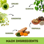 Herbal Hills Ayurveda Imunohills Capsules - Distacart