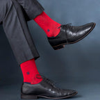 Socksoho Luxury Men Socks Oxford Giftbox