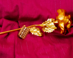 Gold-Polished Alloy Ethnic Designer Cocktail Ring - The Pari
