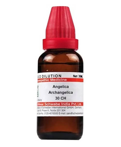 Dr. Willmar Schwabe India Angelica Archangelica Dilution