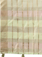 Shree Shyam Fashion Organza Light Green Saree - Distacart