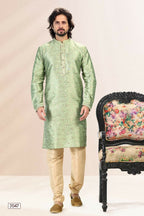 Raivat Ethnic Jacquard Banarasi Silk Pintux Work Kurta Pajama In Green Colour