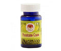 Guru Prasadam Prostate Care Tablets - Distacart