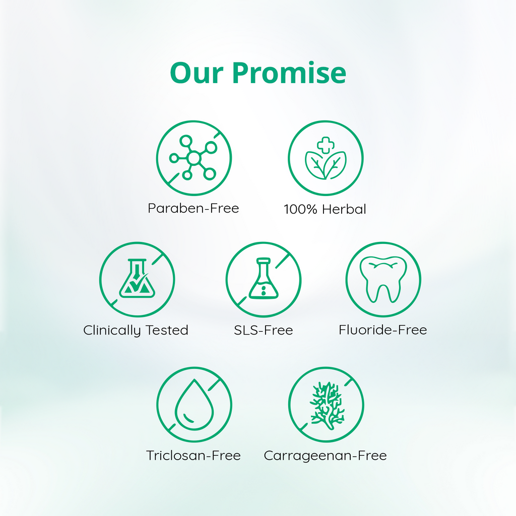 Mintdrops Premium Tooth Tabs - Menthol Fresh Flavour