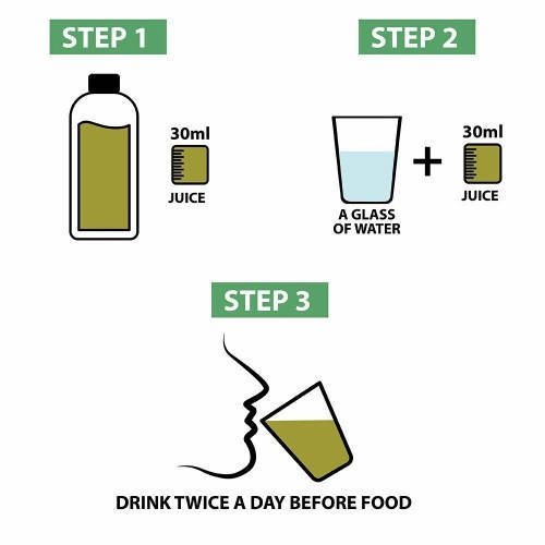 Vitro Naturals Healthy Amla Juice - Distacart