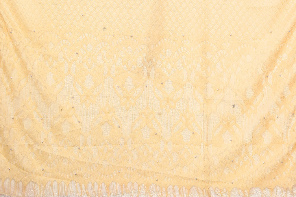 Vamika Net Brasso Cream Light Weight Trendy Look Bollywood Style Saree