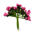 Pink Pollens