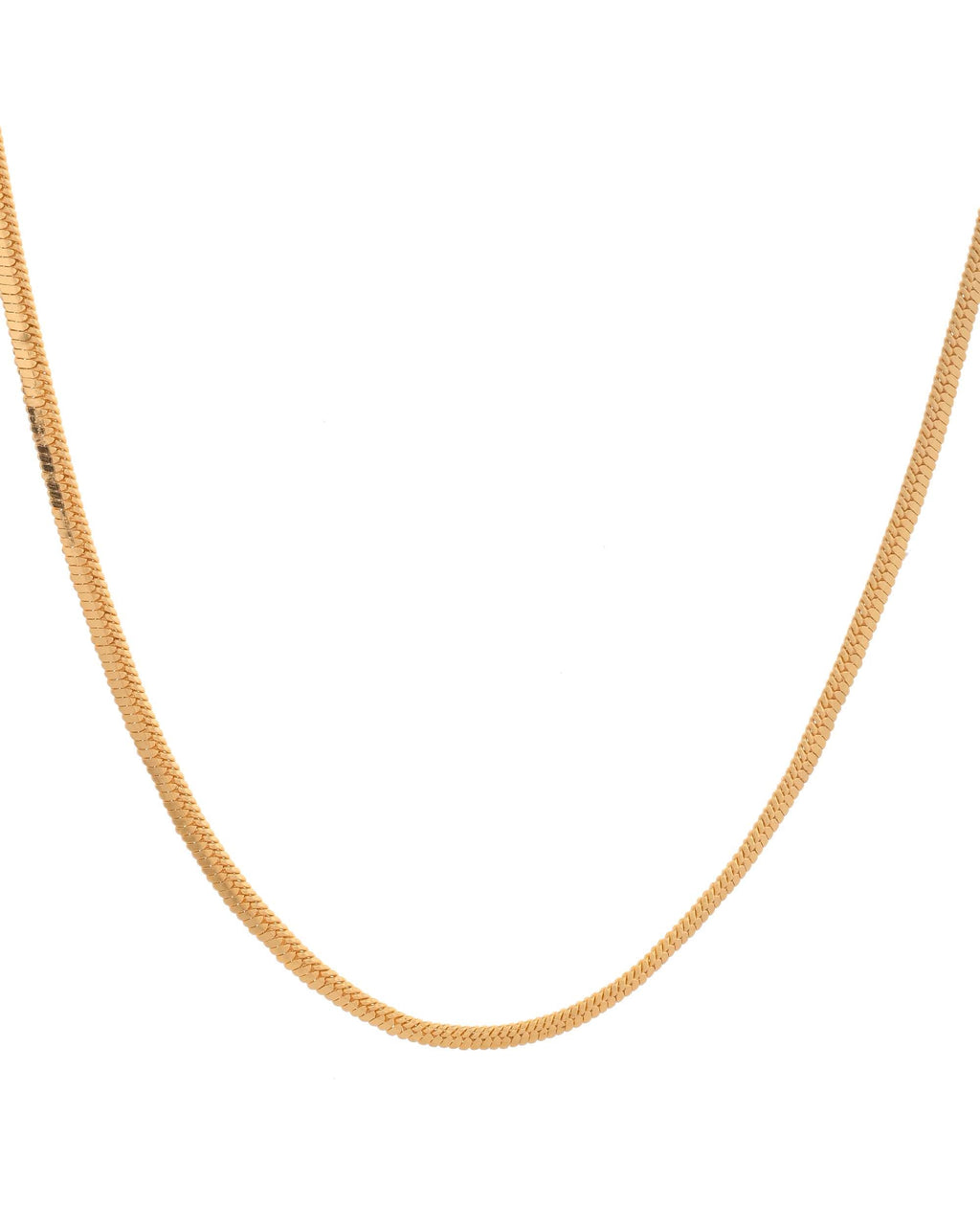 Product Image-4
