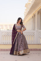 Lorenvalley Purple Pure Viscose Jacquard with Embroidered Sequins work Lehenga Choli