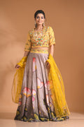 Morchari Crop Top With Net Dupatta - Multicolour