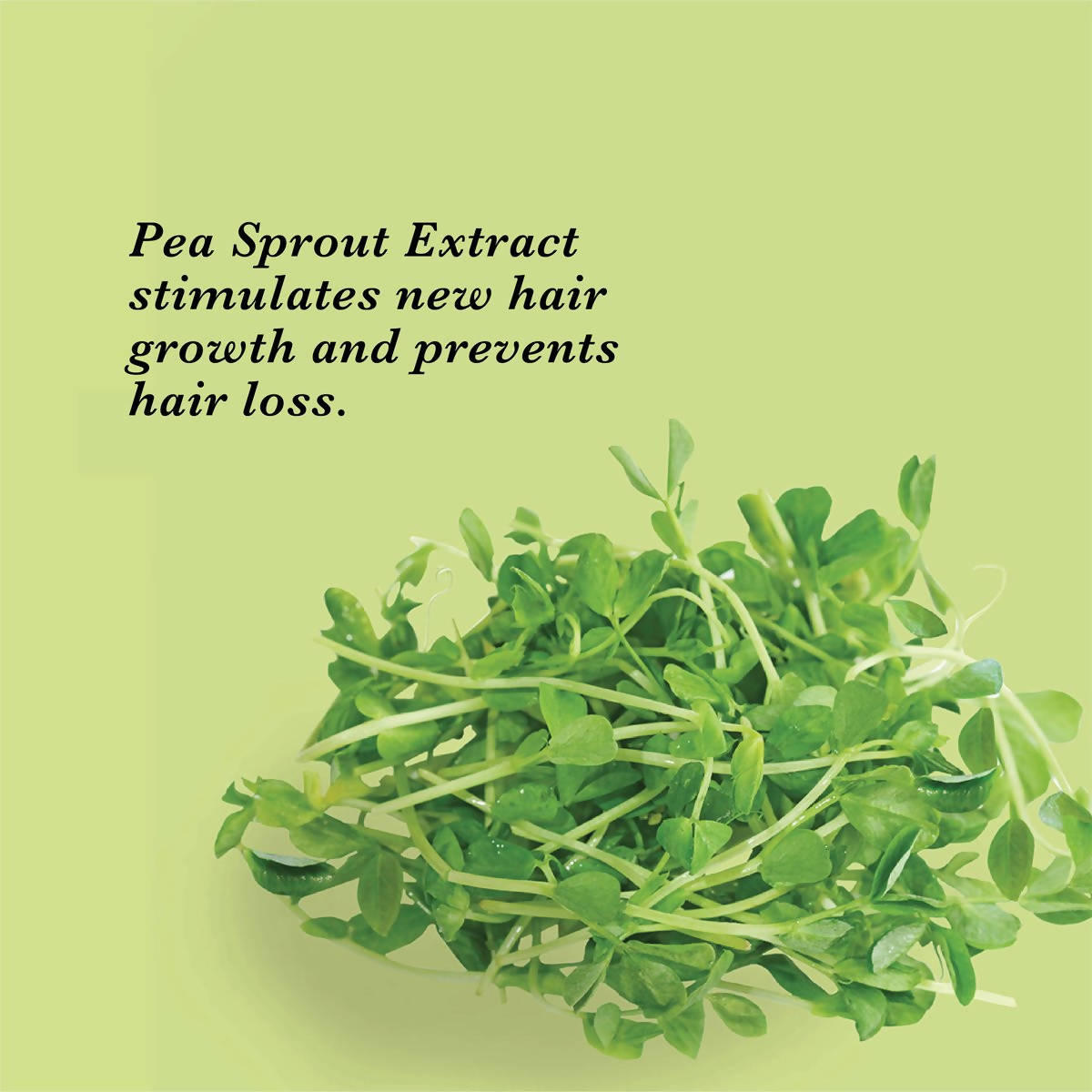 True Frog Anti Hair Fall Shampoo