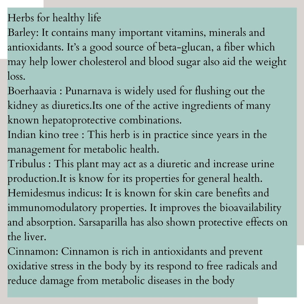 Satvi Wellness Detoxi - Herbal Detox Mix - Distacart