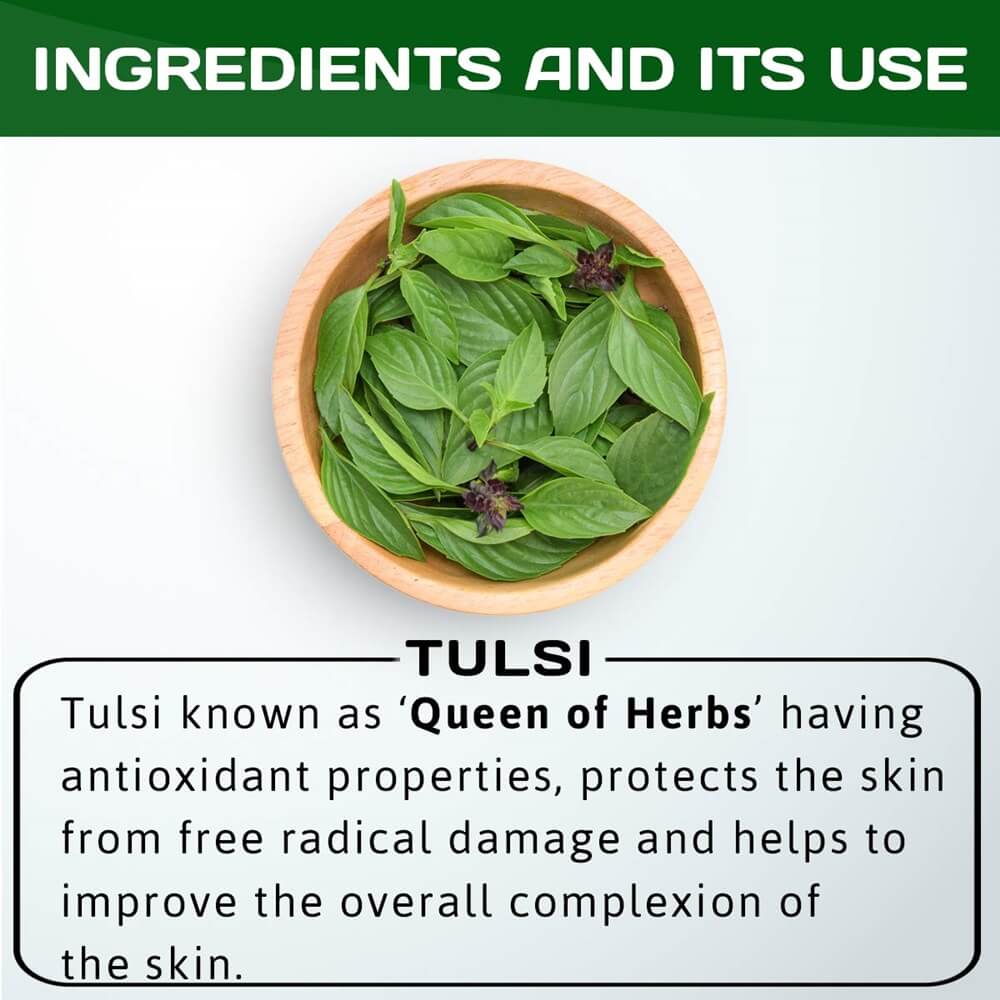 Jain Tulsi Ocimum Sanctum/Holy Basil Pure Powder  Ingredients