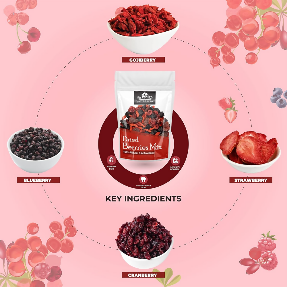 Nature Yard Berries mix without sugar - Mix of Dried Cranberry, Blueberry, Goji berry & Strawberry Dry fruits - Distacart