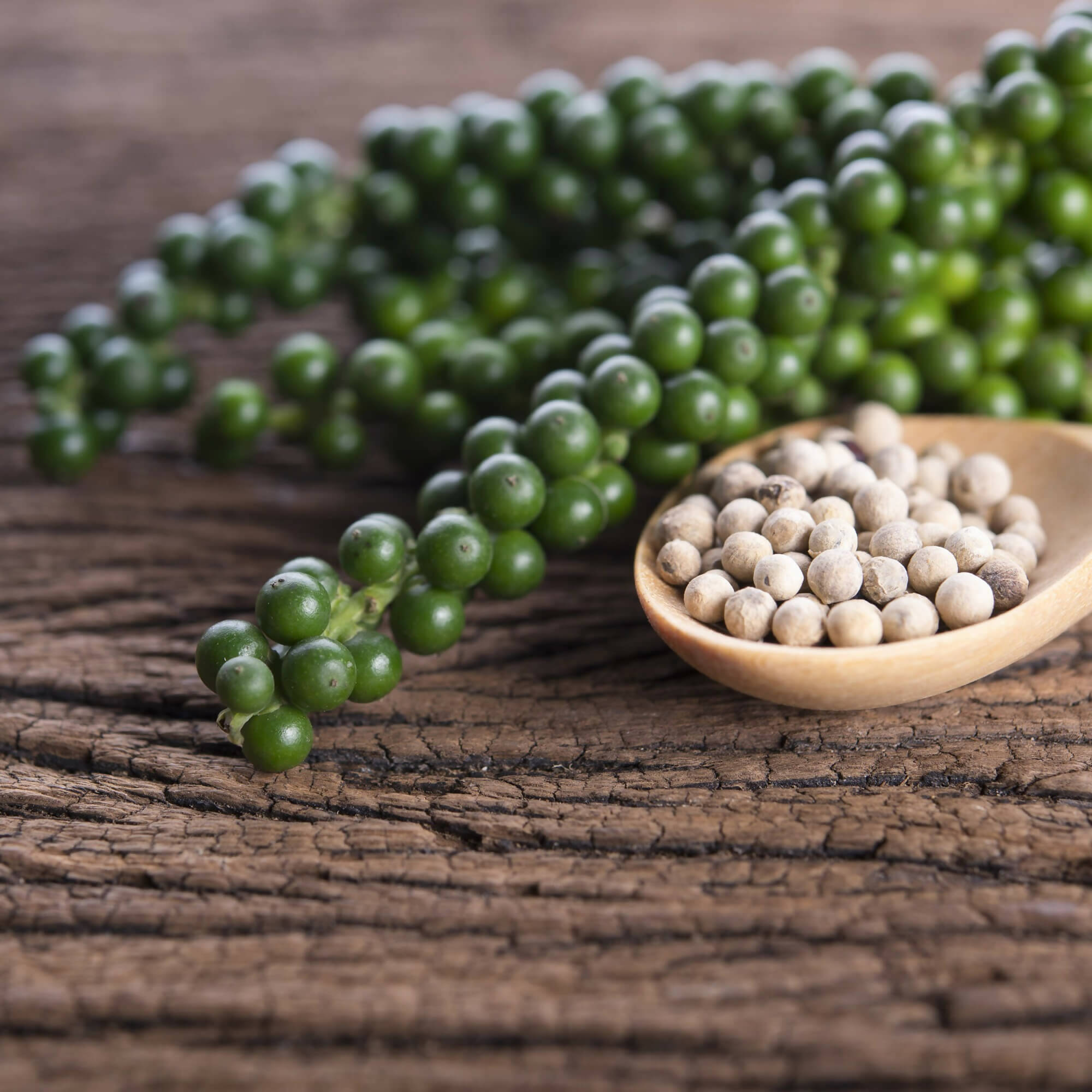 Sattva Sugandha White Pepper - Distacart