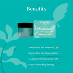 Rivona Naturals Mint Lip Balm - Distacart