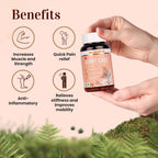 Sunova Joint Care Capsules - Distacart