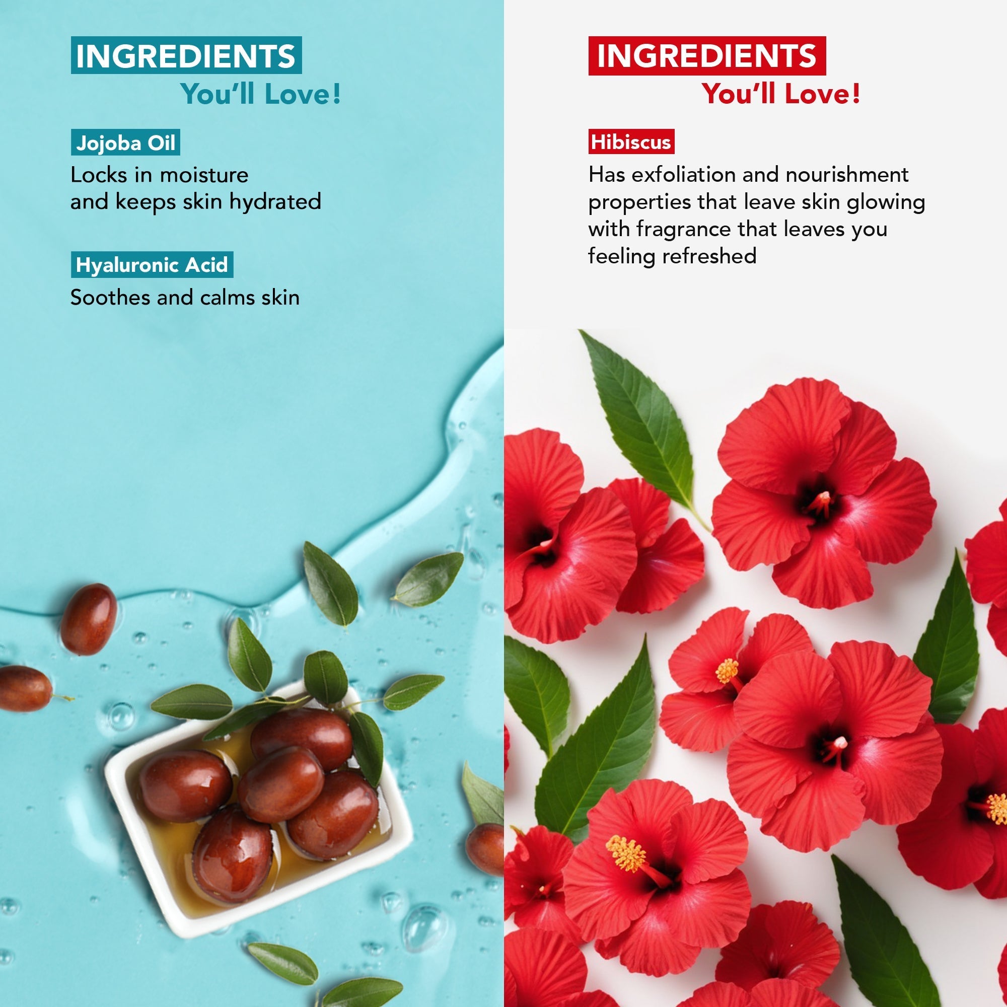 Botanic Hearth Jojoba Hyaluronic Bobywash & Hibiscus Scrub Combo