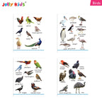 Jolly Kids My Big Board Books Set of 8 for Toddlers Ages 0-3 Years| Picture Learning Books - Distacart