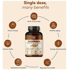 Zingavita Ayurveda Sustained Release Ashwagandha 300mg Capsules - Distacart