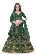 Dwiden Green Lehriyu Tafetta Sattin Semi-Stitched Girl's Lehenga Choli