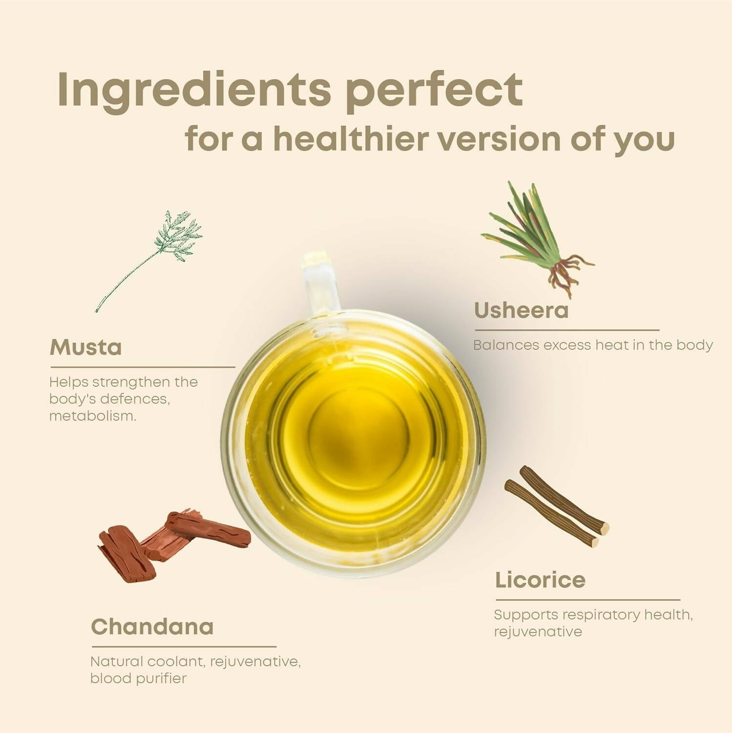 Shivamastu Ayurveda Wellnessbrew Herbal Tea - Distacart