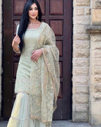 Teeya Creation Pista Colour Chinon Silk Heavy Embroidery Work Fully Stitched Salwar Suit - Distacart