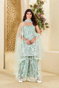 Teeya Creation Pista Colour Butterfly Net Embroidery Work Fully Stitched Pakistani Suit - Distacart