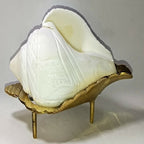 Brass Jal Shankha With Stand