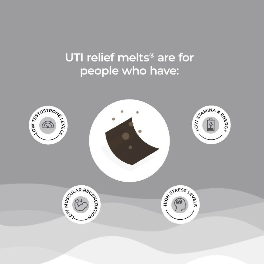 Wellbeing Nutrition Melts Testo Power Oral Strips-Cool Mint Flavor - Distacart
