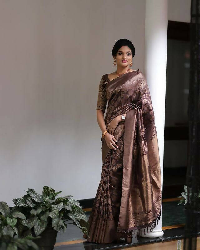 DEIANA'S Beautiful Designer Golden zari Soft Lichi Silk Saree - Brown
