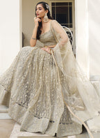 Vegaa Fashion Ivory Butterfly Net Embroidery Thread Designer Lehenga
