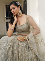 Vegaa Fashion Ivory Butterfly Net Embroidery Thread Designer Lehenga