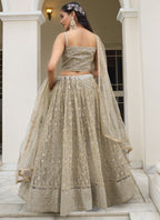 Vegaa Fashion Ivory Butterfly Net Embroidery Thread Designer Lehenga