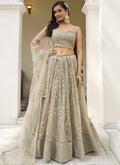 Vegaa Fashion Ivory Butterfly Net Embroidery Thread Designer Lehenga