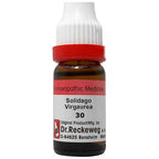 Dr. Reckeweg Solidago Virgaurea Dilution - Distacart