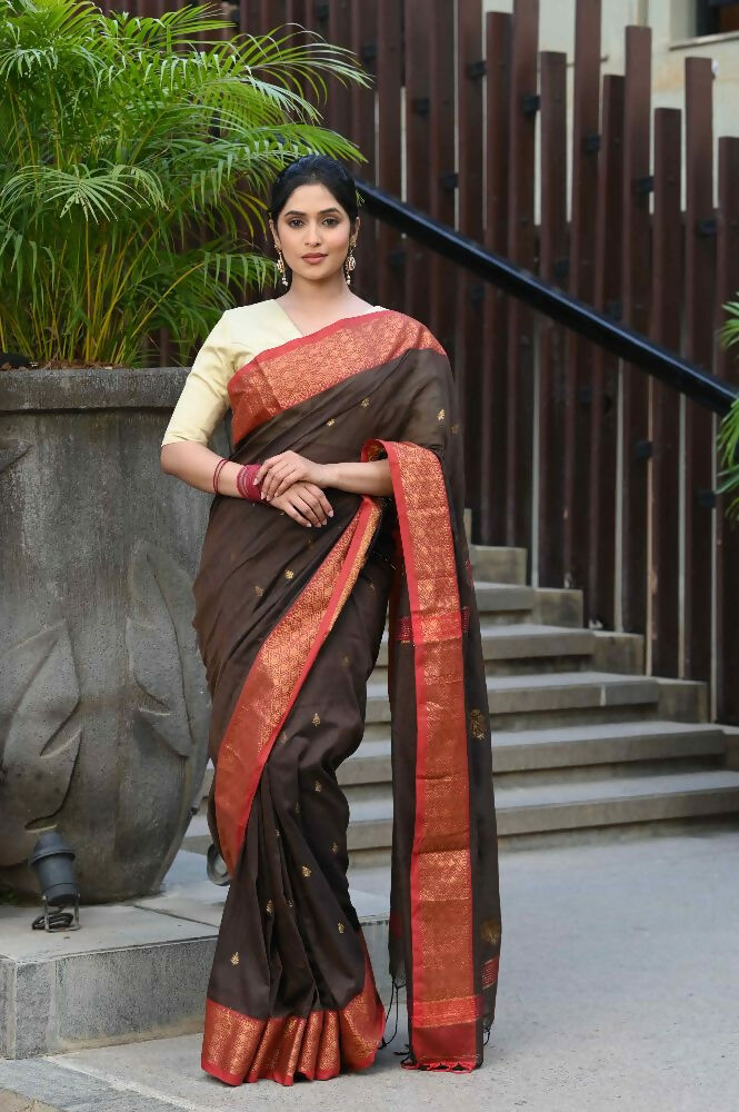 Beatitude Brown Cotton Banarasi Saree
