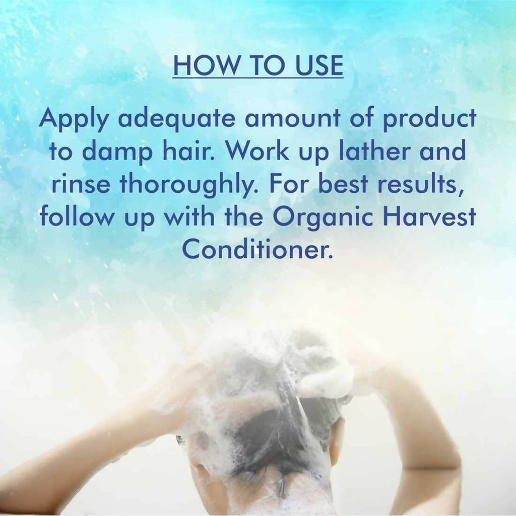 Organic Harvest Orgadyne Anti-Dandruff Shampoo