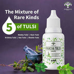 Vanalaya Panch Tulsi Drops - Distacart