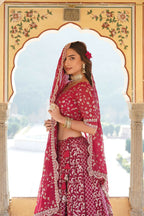 Lorenvalley Ranipink Pure Viscose Jacquard With Embroidered Sequins work Lehenga Choli