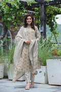 Kaajh Women's Brown Floral Cotton Suit Set - Distacart