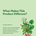 Kapiva Ayurveda Wild Tulsi Giloy 